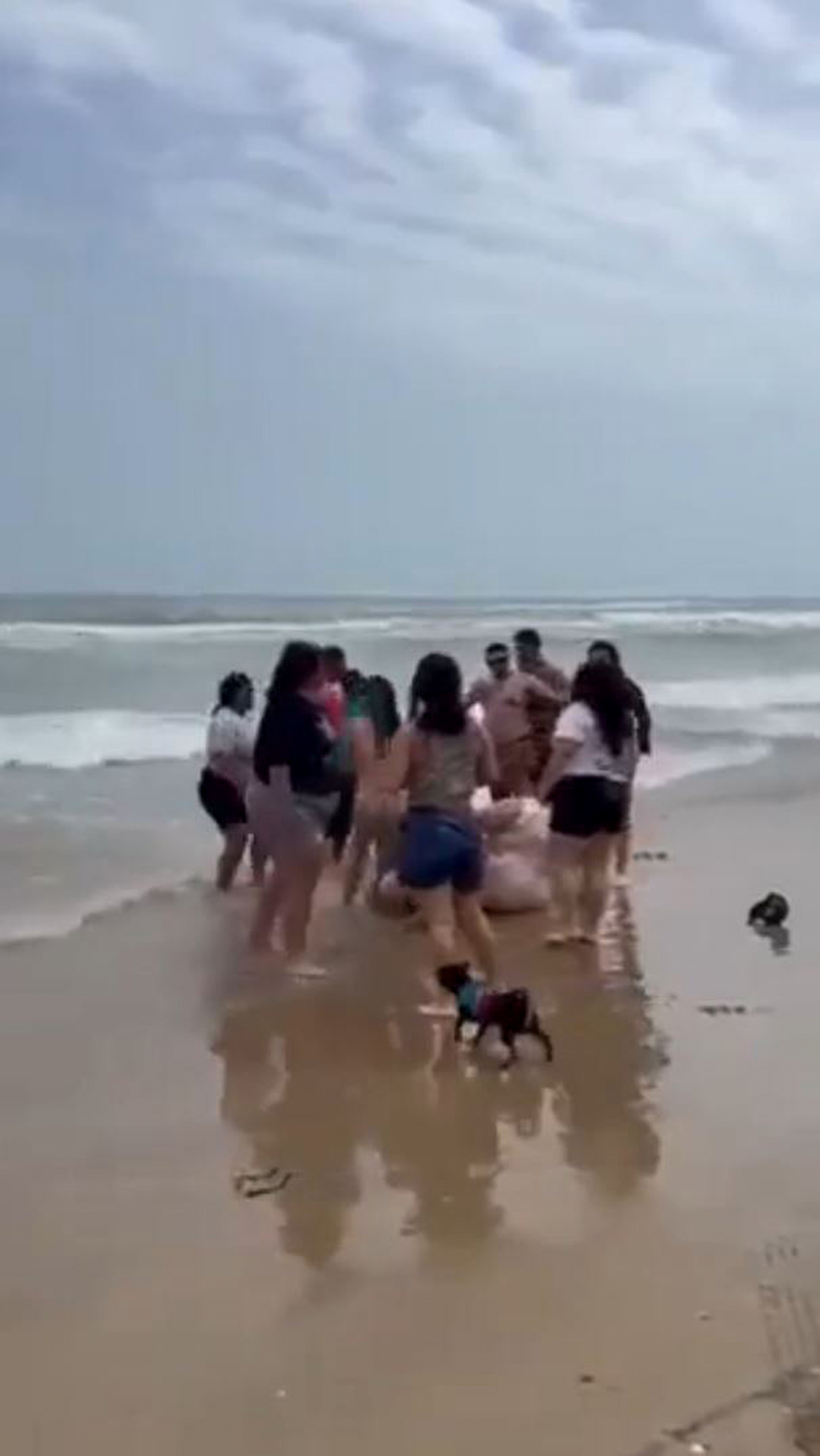 People fight on a beach in Acapulco, Mexico, undated. The incident happened during the Holy Week. Note: Photo is a screenshot from a video People fight on a beach