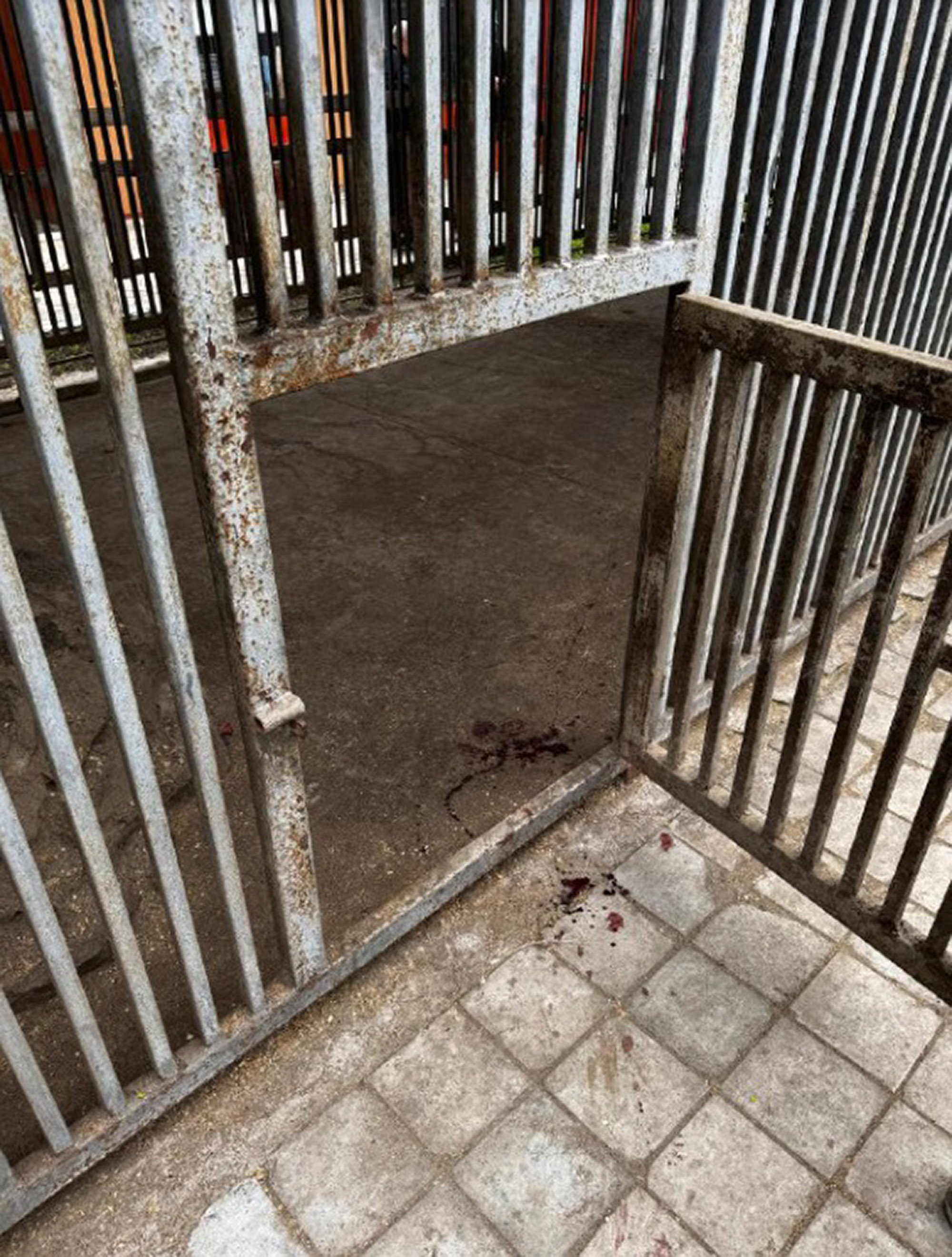 Picture shows the scene where a tiger attacked an employee of the Mariupol Zoo, undated. The incident occurred on April 22, 2025. Note: Photo from Investigative Committee. Scene