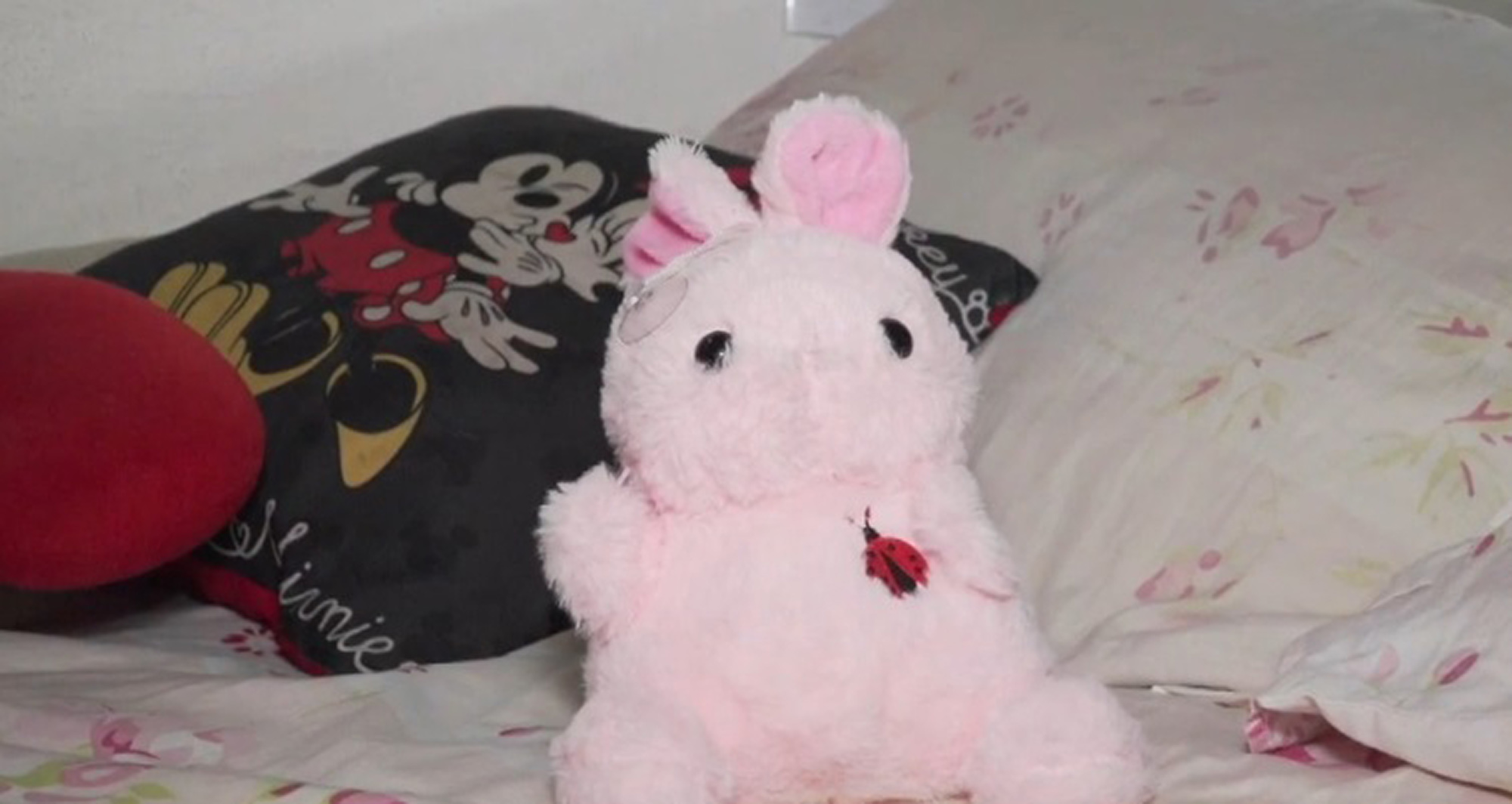 Picture shows the stuffed animal delivered along with the food to Geisa's house in Natal, Brazil, undated. Geisa de Cassia and her cousin's daughter Yohana Maite Filgueira Costa, eight months old, became ill after eating acai and granola that Geisa received as a gift. Note: Image is a screenshot from video. Stuffed animal delivered along with the food