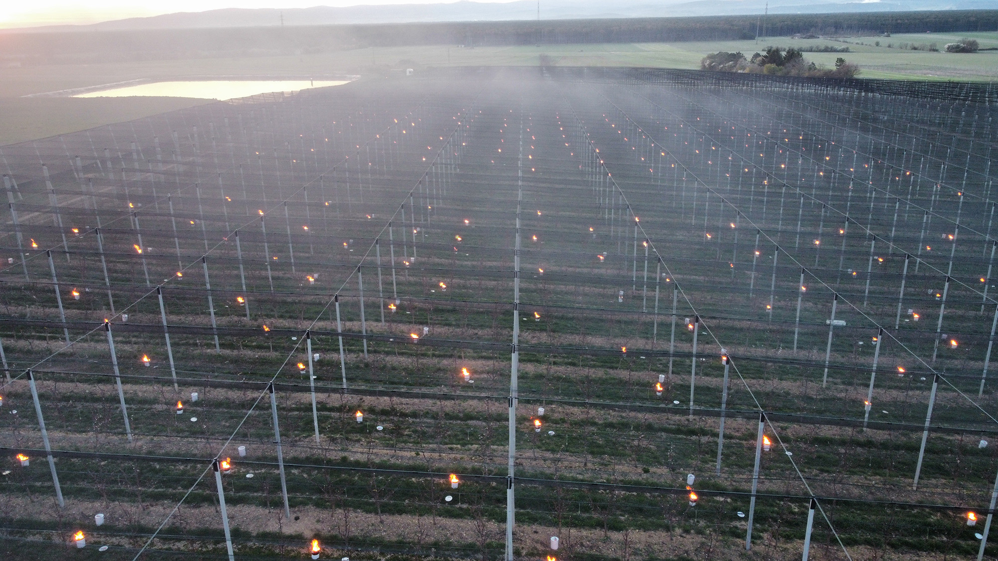 Frost candles save apricot trees in Mollram, in the Neunkirchen district of Lower Austria, undated. This effort saved 2,000 fruit trees. Note: Licensed photo. Frost candles save apricot trees