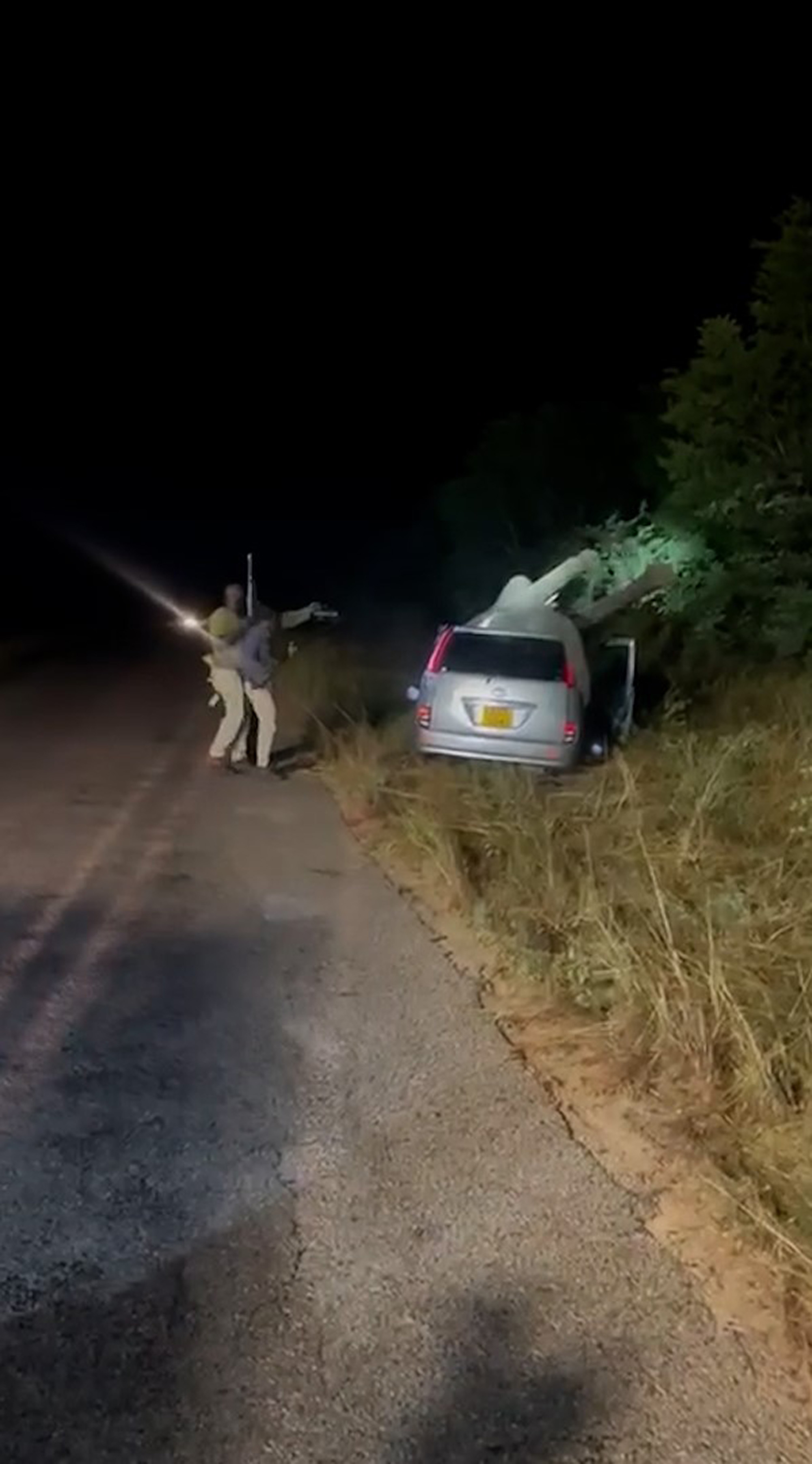 Video shows elephant who crashed with a car getting shot near Victoria Falls, Zimbabwe, April 23, 2025. elephant who crashed with a car