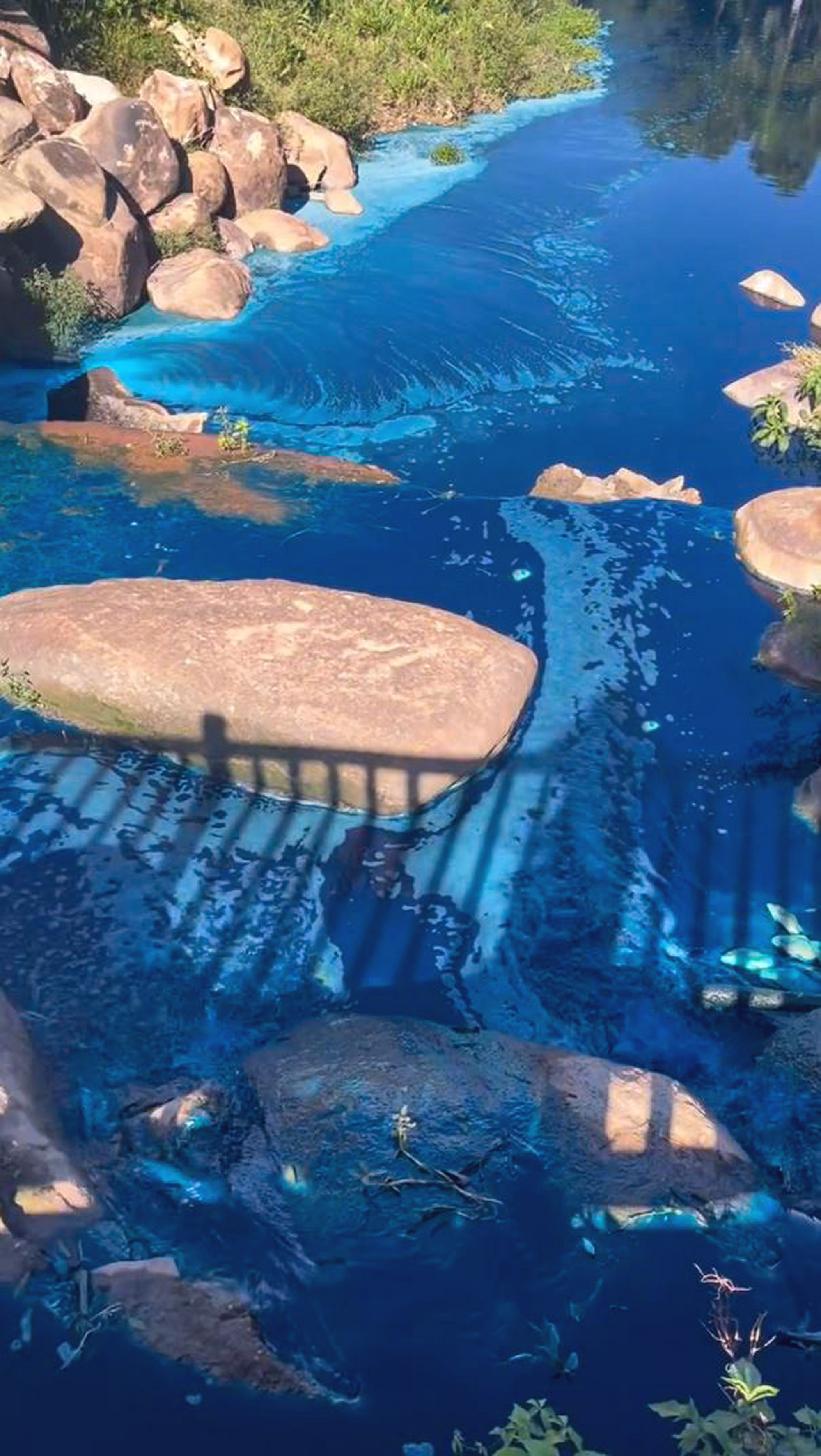Video shows the blue stream, undated. Animals turned blue after truck carrying dye overturned into lake in Jundiai, Brazil, May 13, 2025. Note: Photo is a screenshot from a video Video shows the blue stream