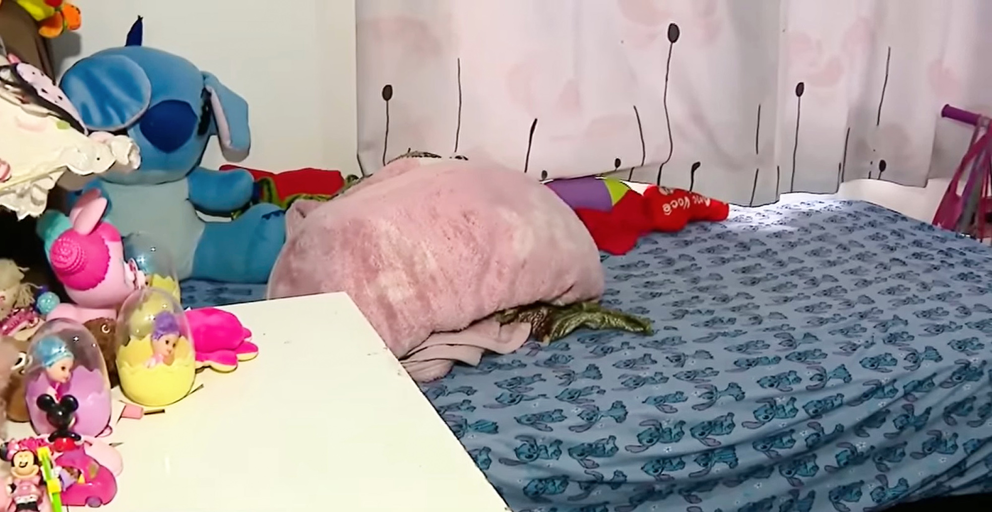 the centre where baby Gael died