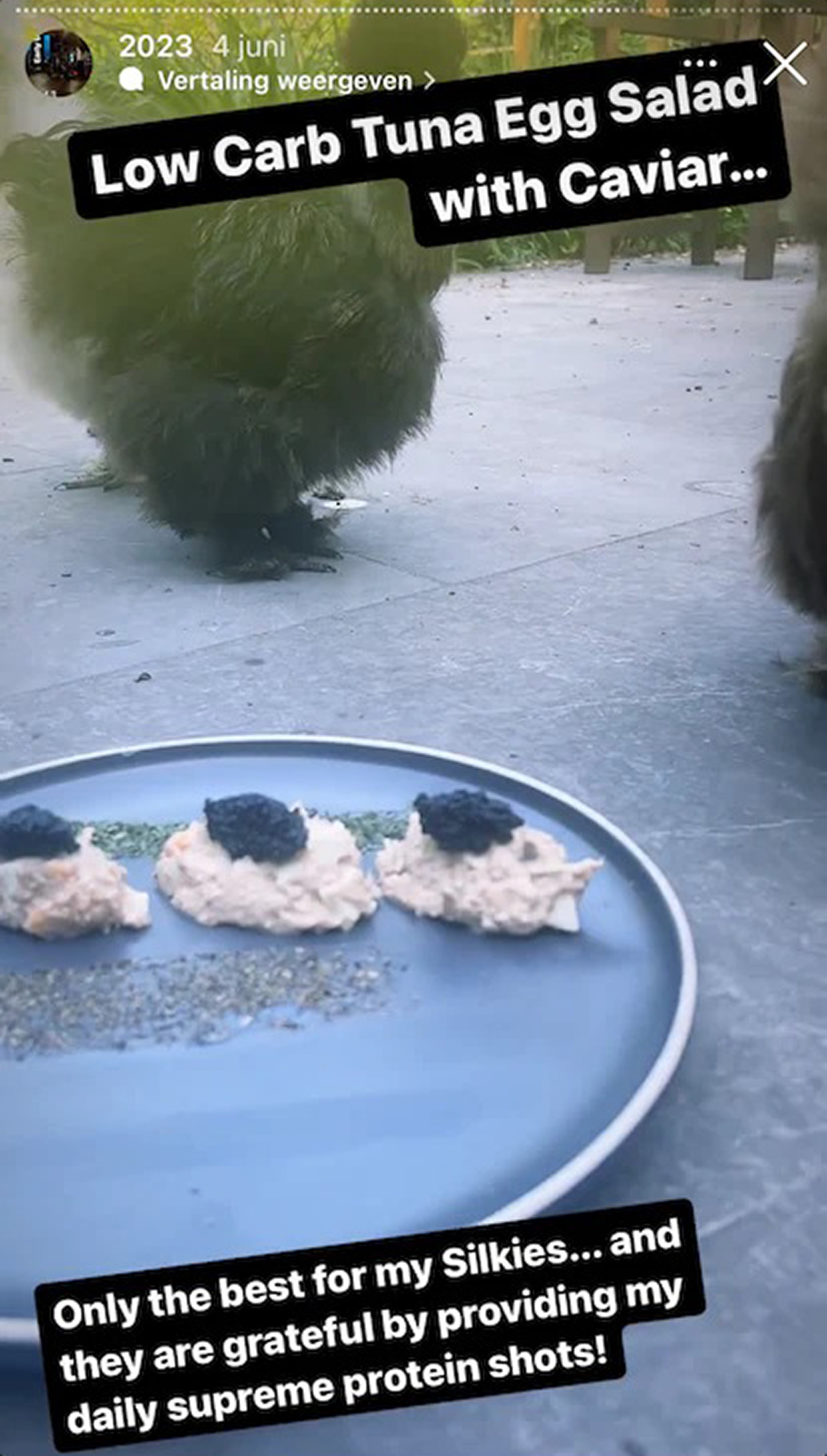 Picture shows the food that Cain Ransbottyn gave to his chickens, undated. He was arrested in the USA. Note: Private photo taken from local media. the food that Cain Ransbottyn gave to his chickens