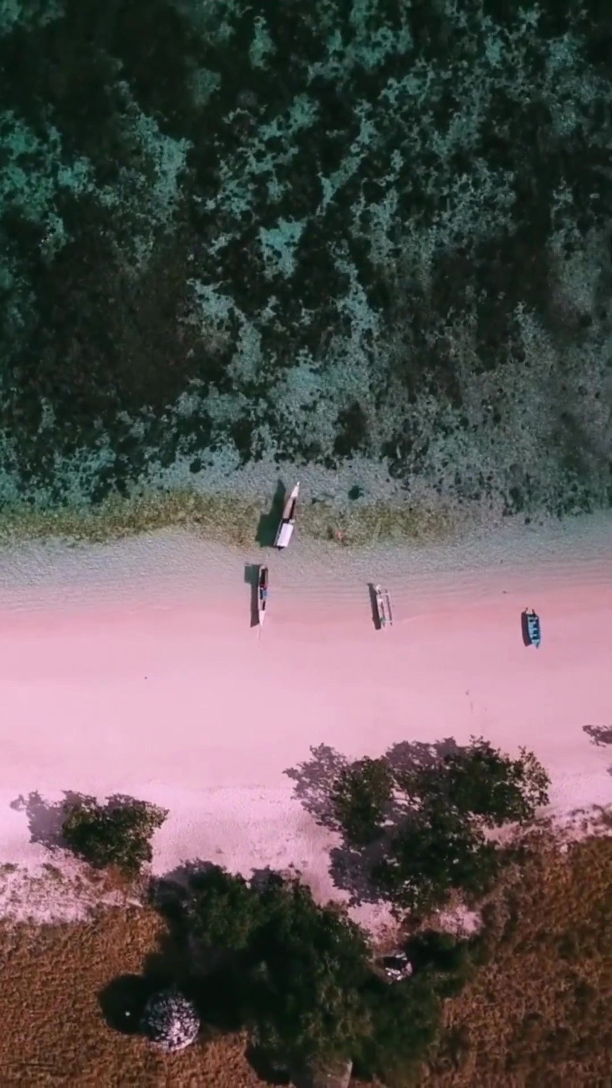 Photo shows Pink Beach on Komodo Island, Indonesia, undated. A Chinese tourist drowned on the beach on 18 June, 2025. Note: Photo is a screenshot from a video. Pink Beach on Komodo Island