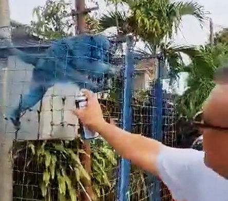 PAINT YOB - Outrage After Another Man Films Himself Spray Painting