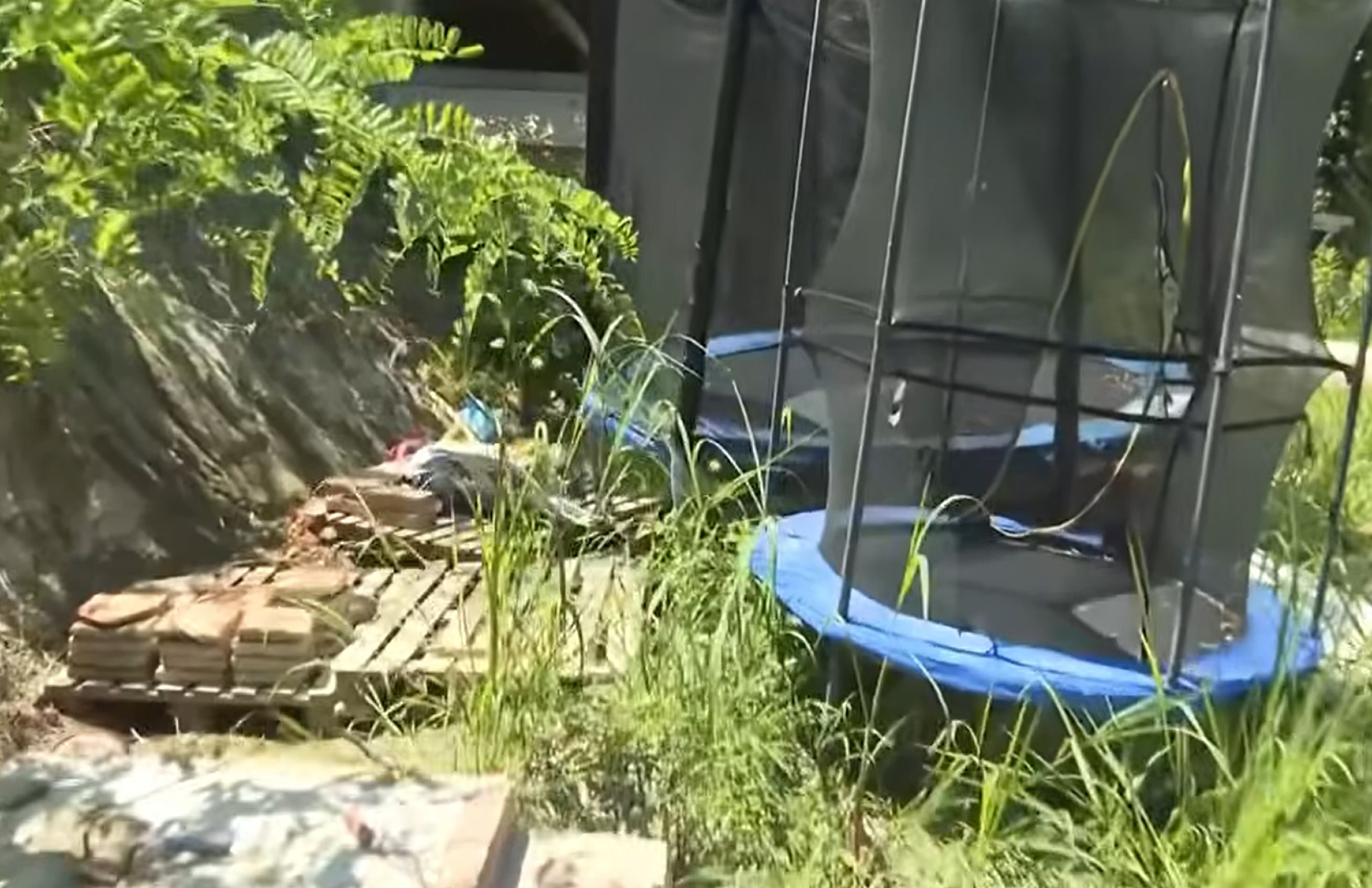 Picture shows the area where the children lived, undated. Two siblings aged six and nine were found in an isolated farmhouse in Lauriano, Italy. Note: Image is a screenshot from video. Picture shows the area where the children lived
