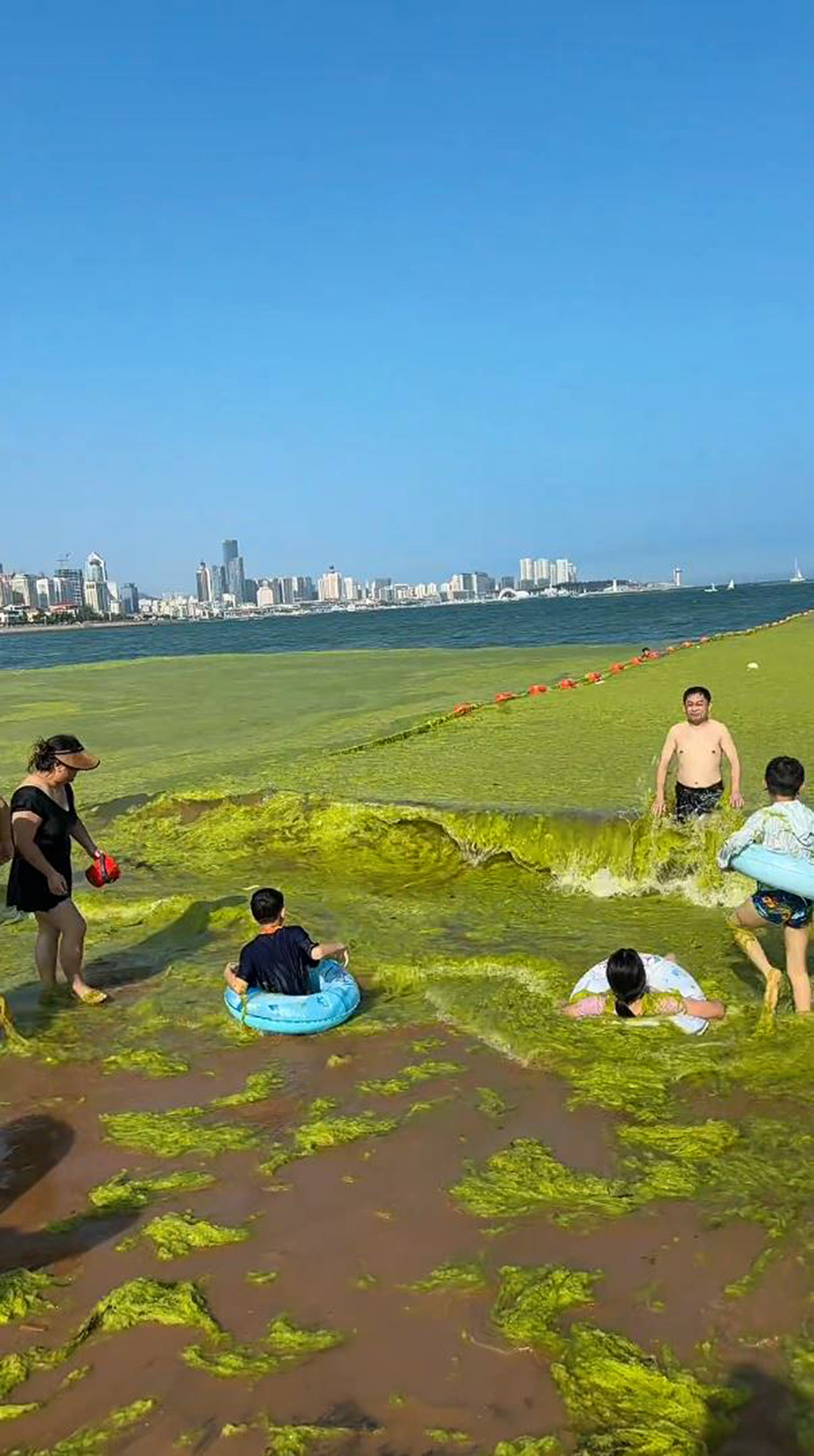 Video shows the green sea surface in Shandong, China, undated. The videos were shared on Douyin - the Chinese version of TikTok in July 2025. Note: Photo is a screenshot from a video Video shows the green sea surface in Shandong