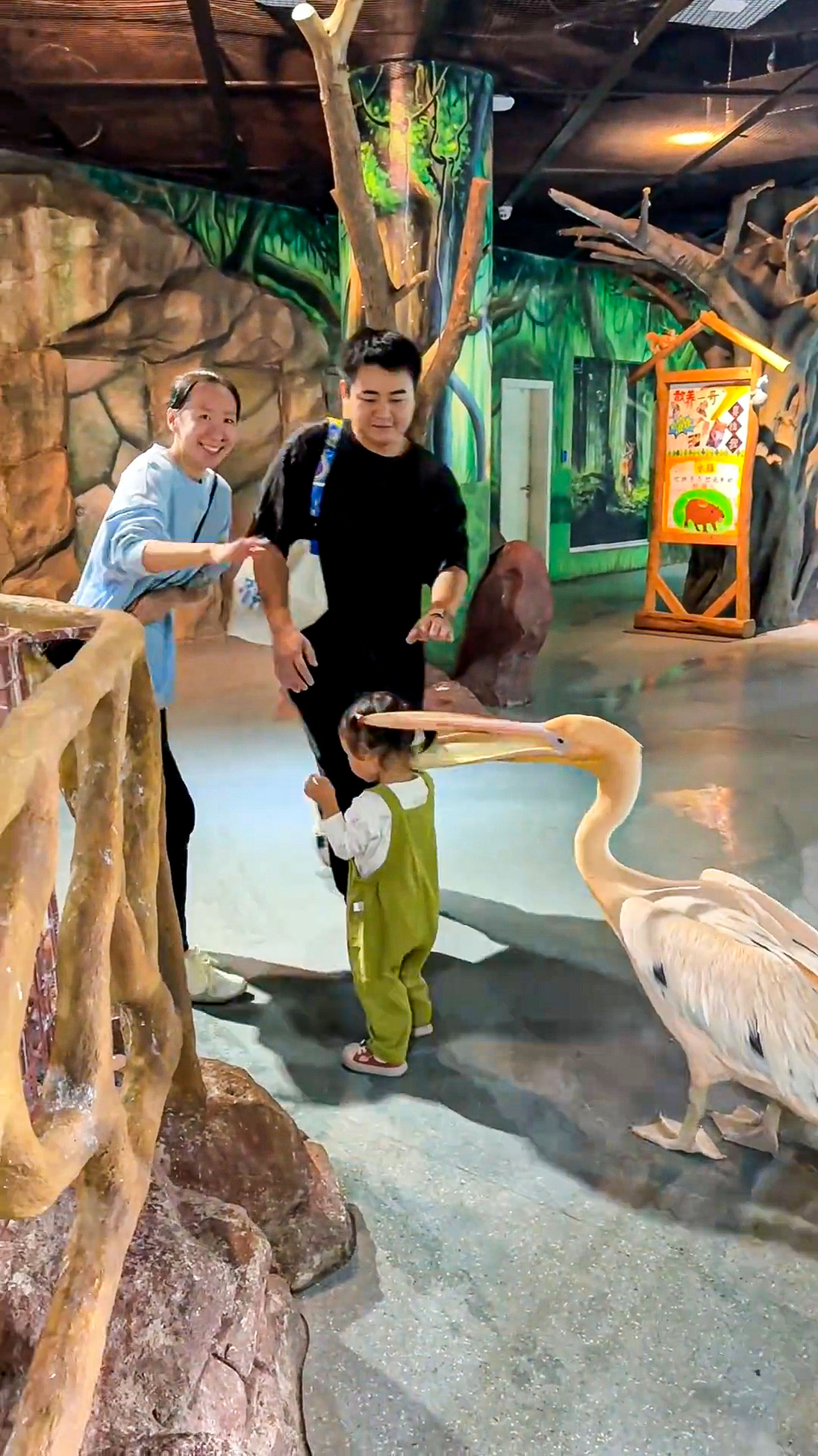 Pelican snatches child's head in Wuhan, China.