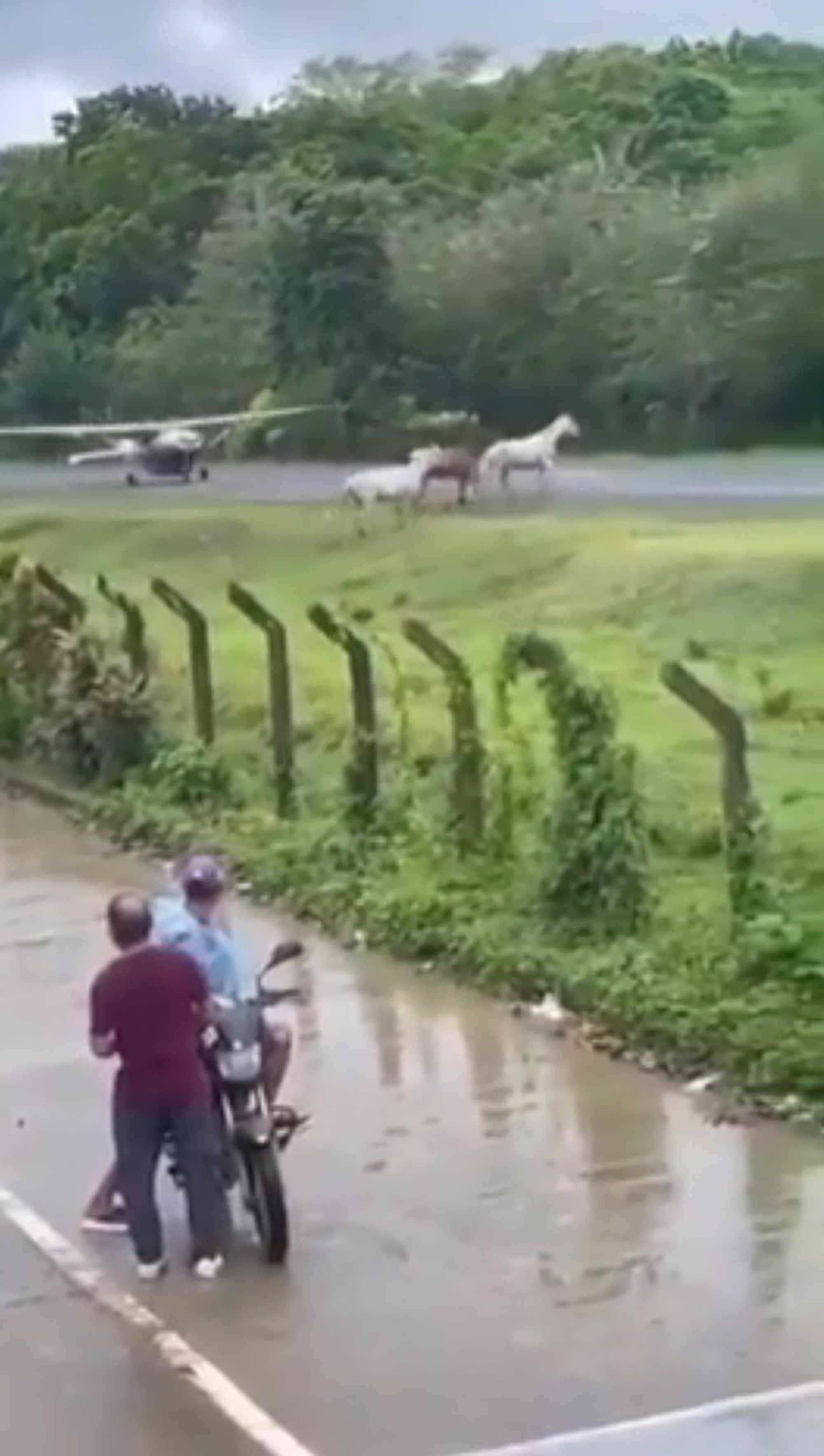 Small plane nearly runs over horses at the Narcisa Navas airport in the municipality of Acandi, in the department of Choco, Colombia, Jan. 31, 2026
