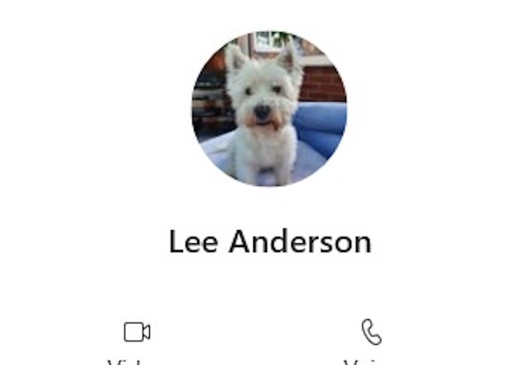 Lee Anderson's Whatsapp profile, provocatively displaying a photo of Rupert Lowe's deceased dog