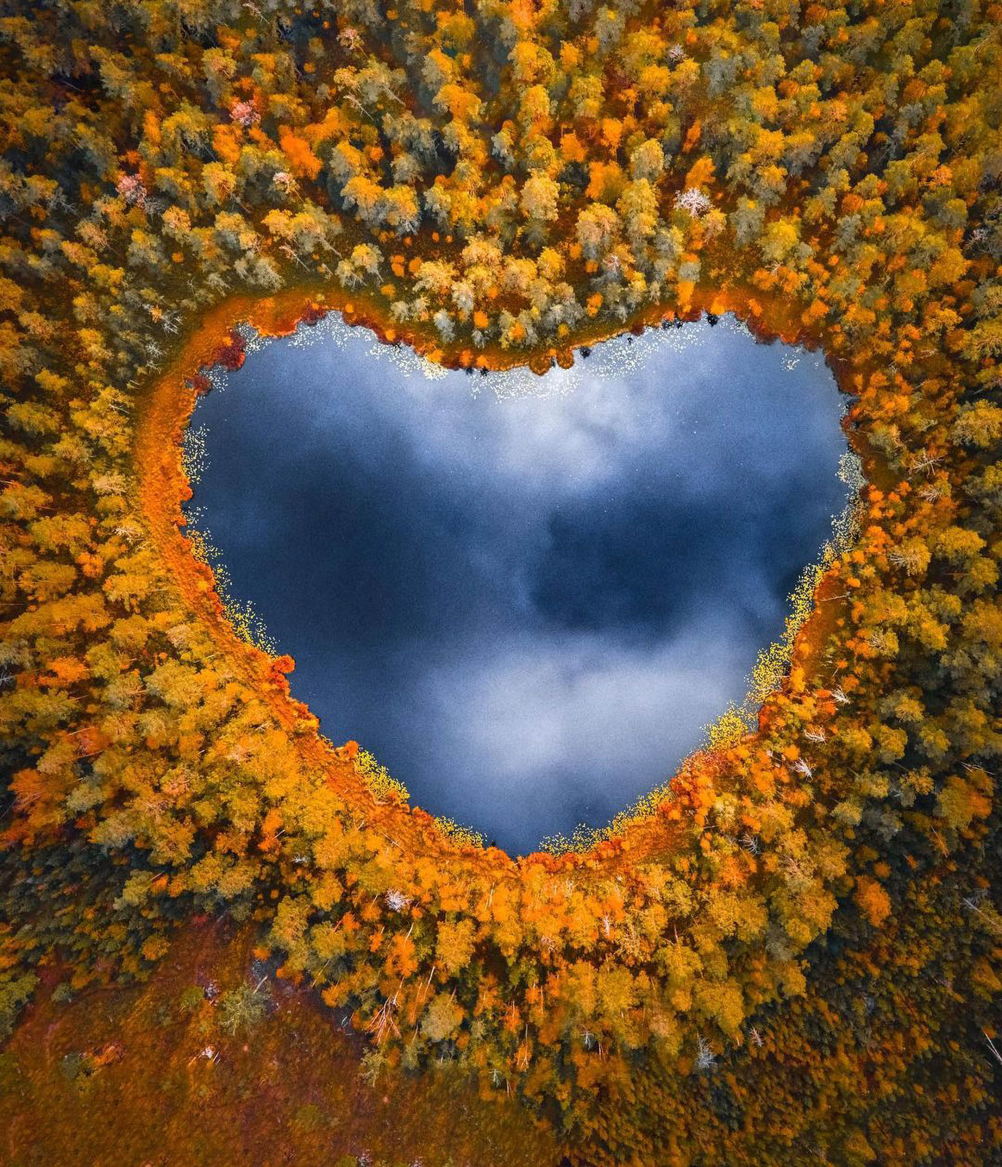The heart lake in Ostergotland, Sweden photographed by Sophia Bergholm in Summer. Heart-shaped lake in Ostergotland, Sweden